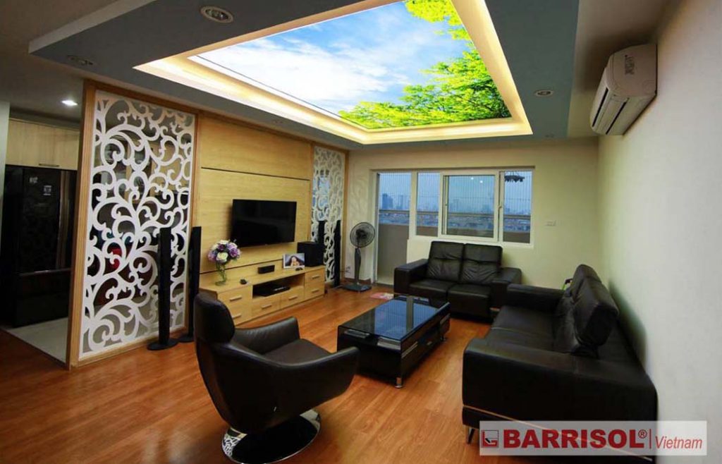 trần nhà 3d barrisol