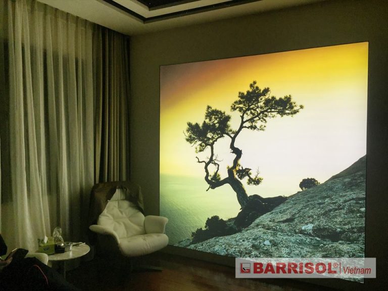 Cùng trần căng Barrisol mang thiên nhiên vào ngôi nhà của bạn