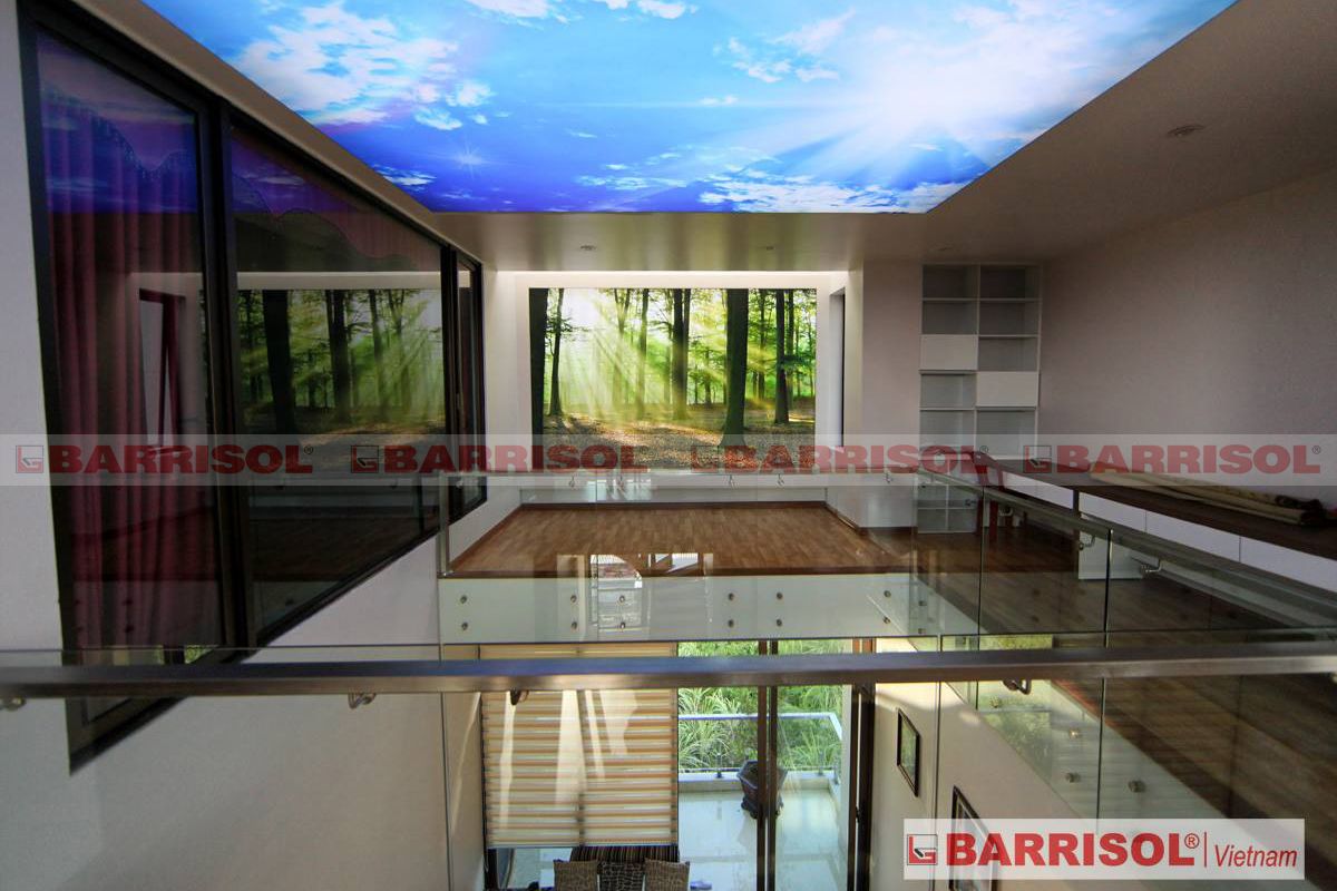 tấm xuyên sáng barrisol việt nam