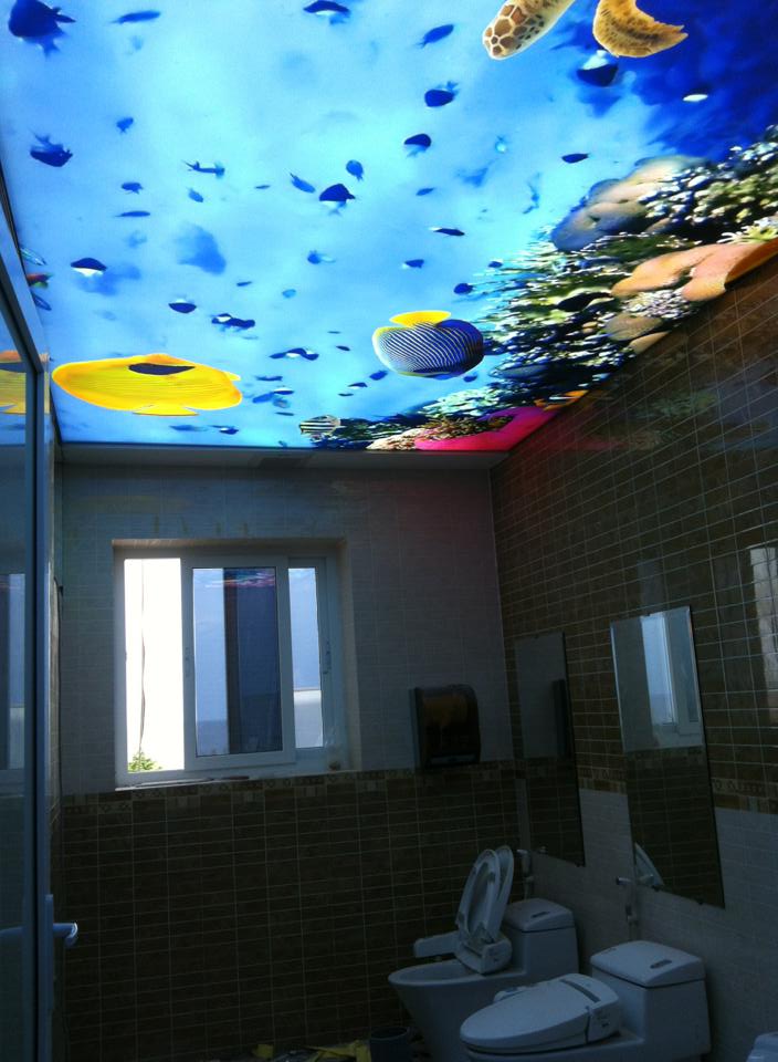 trần nhà 3d barrisol việt nam