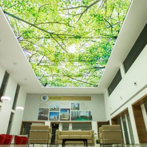 trần xuyên sáng barrisol