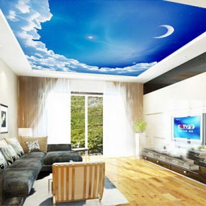 trần xuyên sáng barrisol