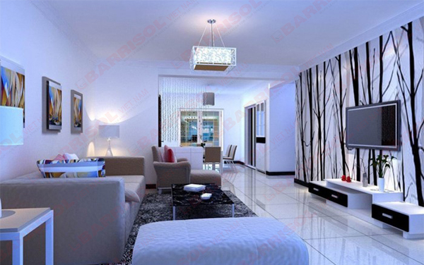 tấm xuyên sáng barrisol việt nam