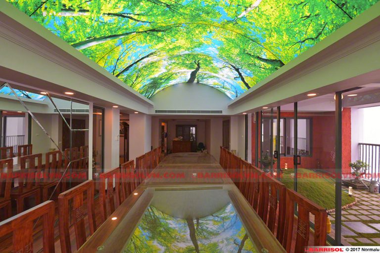 trần nhà 3d đẹp