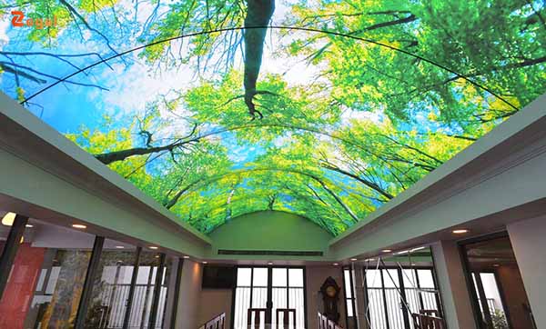 Phòng khách là khu vực trung tâm của ngôi nhà, nơi tiếp đón khách và thể hiện phong cách sống của gia chủ