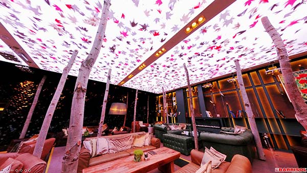 Trần nhà cao cấp Barrisol