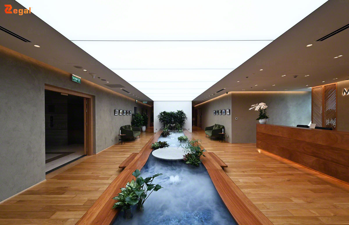 Xu hướng thiết kế trần xuyên sáng phong cách Biophilic 2026