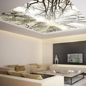 trần xuyên sáng barrisol